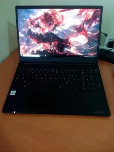 Dynabook Satellite Pro I5 10th Ge
