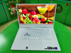 ASUS TUF DASH F15 FX516PE/15.6