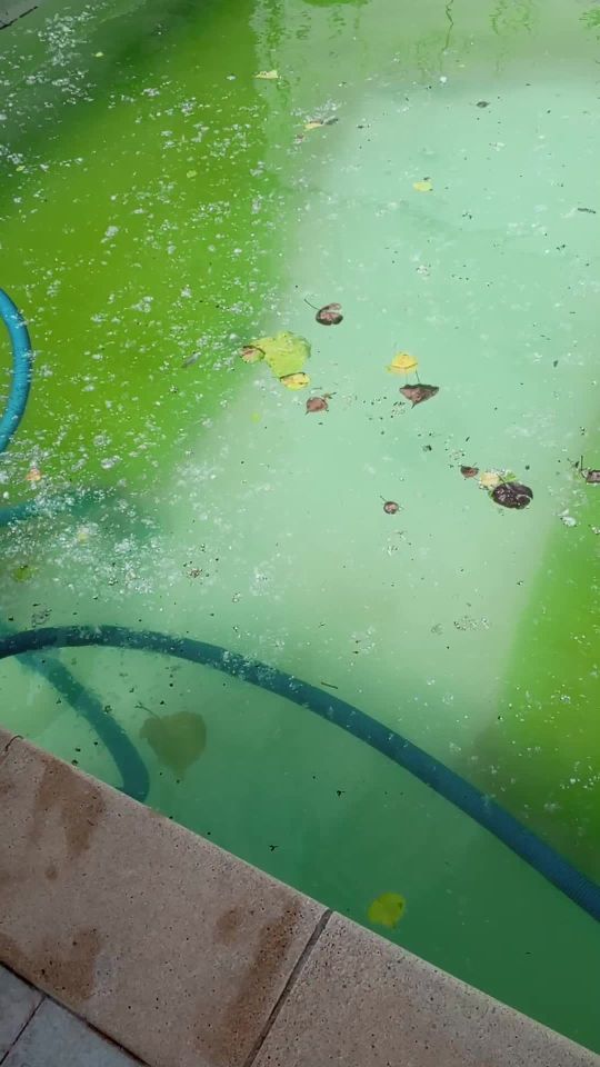 toutes entretient piscins netoyage reparation instalation	