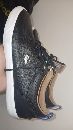La coste bayliss original cuir