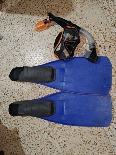 palme avec mask et tube