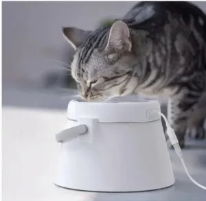 Fontaine À Eau Pour Animaux