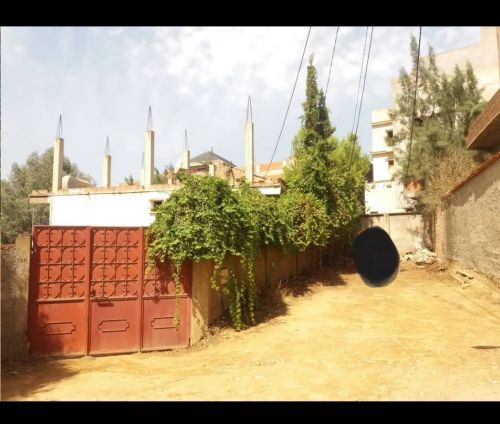 terrain OULED mendil Douera