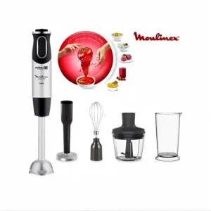 Moulinex Mixeur Plongeur Quickche