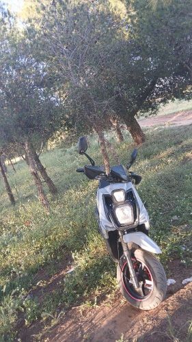 ليفان 12تي 150سس
