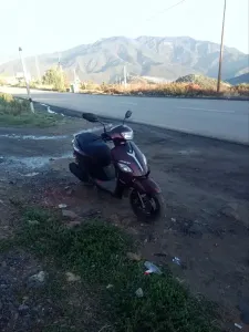 جوكي جوكي 2024