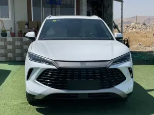 بي واي دي سيل موديل 2025