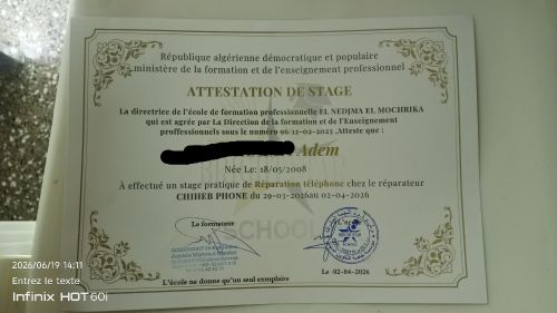 Expert en réparation et maintenance de smartphones,