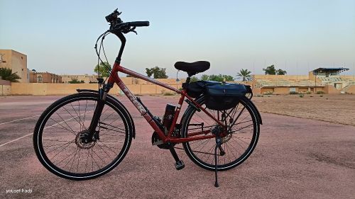 trek verve