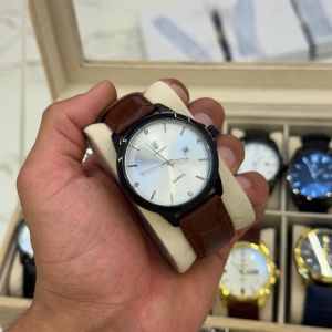 POEDAGAR Luxury Men's Watch