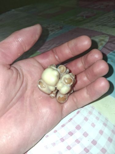 حجر نادر