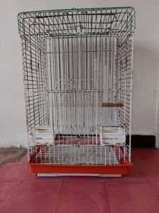Cage Perroquet