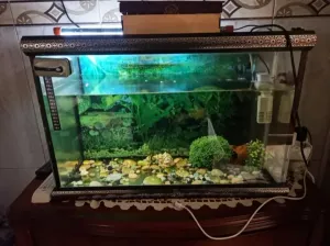 Aquarium