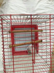 Cage à perroquet