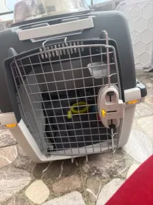 Cage de transport chien