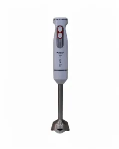 Mixeur Plongeant Multismart