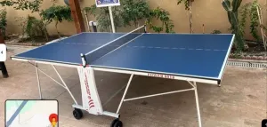 Table de tennis Ping pong Giant