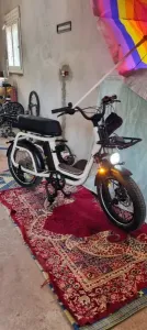 Vélo électrique Elwing cargo 2026