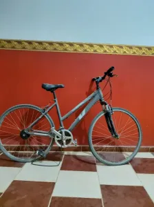 Velo Viper