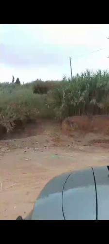 قطعة ارضية