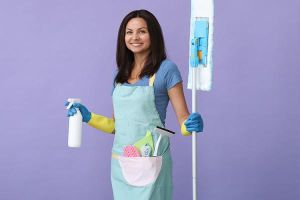 Recherche D'emploi Comme Ménagère