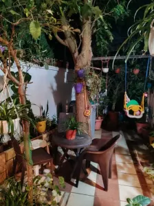 Vente Villa Alger Bordj El Bahri