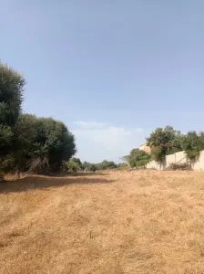بيع أرض فلاحية