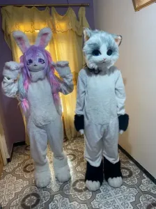 À VENDRE : Mascottes d'animation