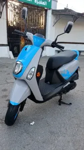 Vms Estate x 2025