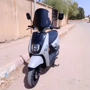 Vms Estate x 2025