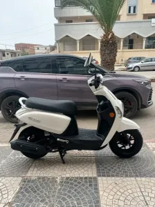 Vms Cucci 2025