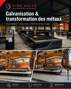 GALVANISATION ET TRANSFORMATION
