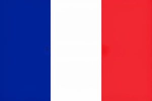 Professeur De Français