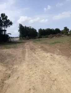 كراء أرض الجزائر أولاد الشبل