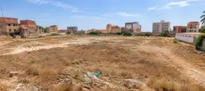 Vente Terrain Alger Ain Benian