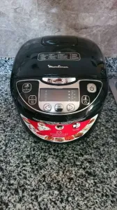 Multicuiseur Moulinex Série R28 2