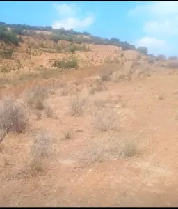 بيع أرض عين الدفلة بومدفع