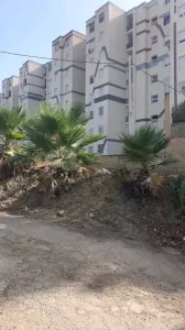 بيع أرض الجزائر زرالدة