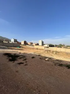 بيع أرض تلمسان