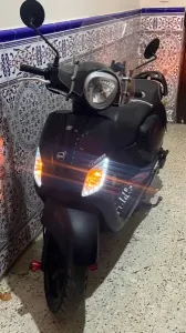 Sym Fidal3 2024