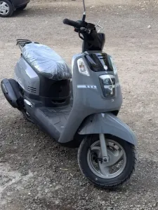 sym tonik 2026