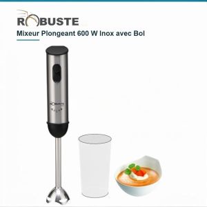 Mixeur Plongeant 600 W Inox