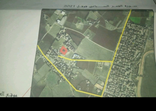 ارض للبيع حي مزيان شريف ببازر صخرة العلمة سطيف