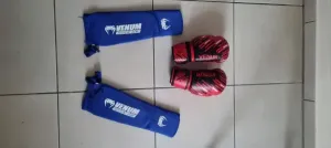Gants de boxe + protège tibia