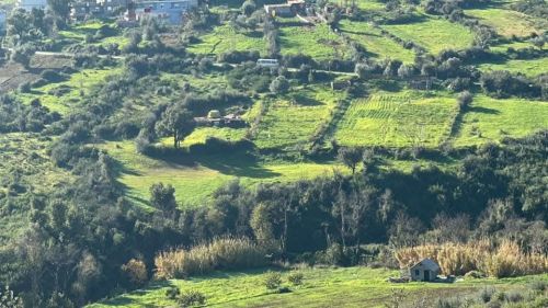 Terrain à vendre toudja Bejaia